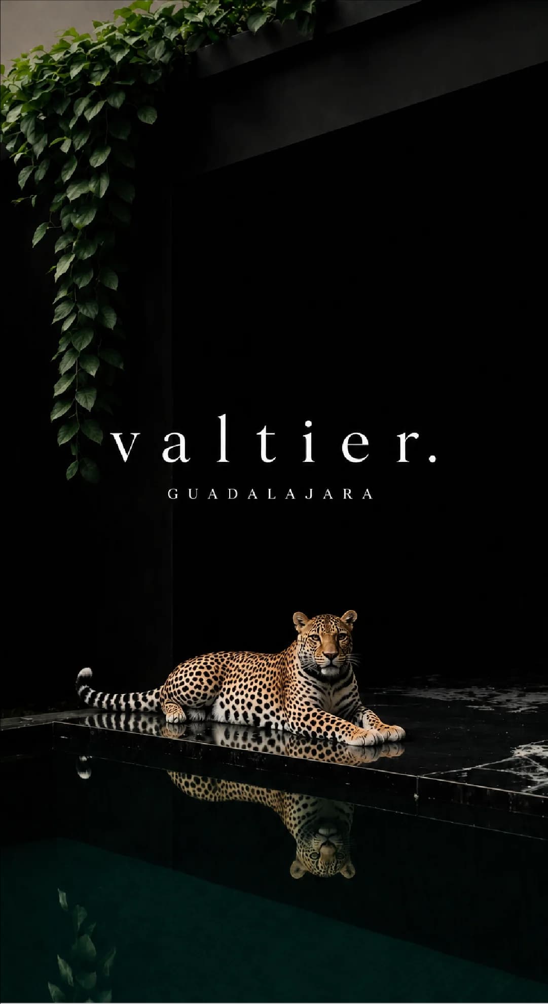 VALTIER editorial